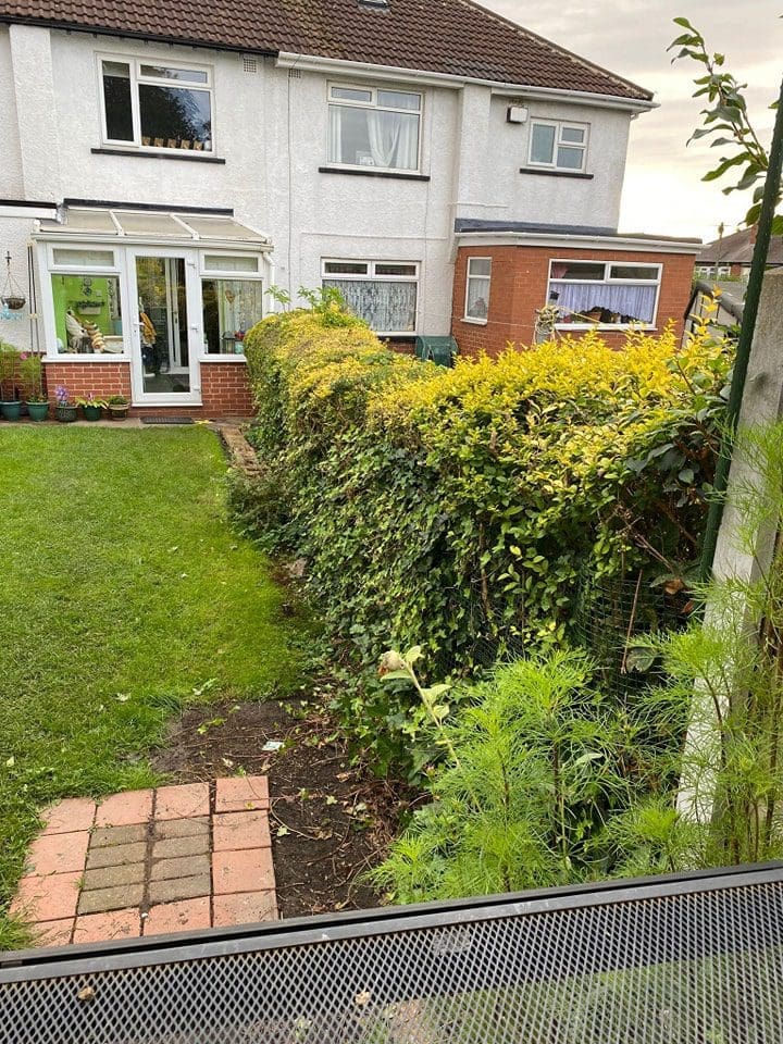 6x4 overlap panel and gravel board
