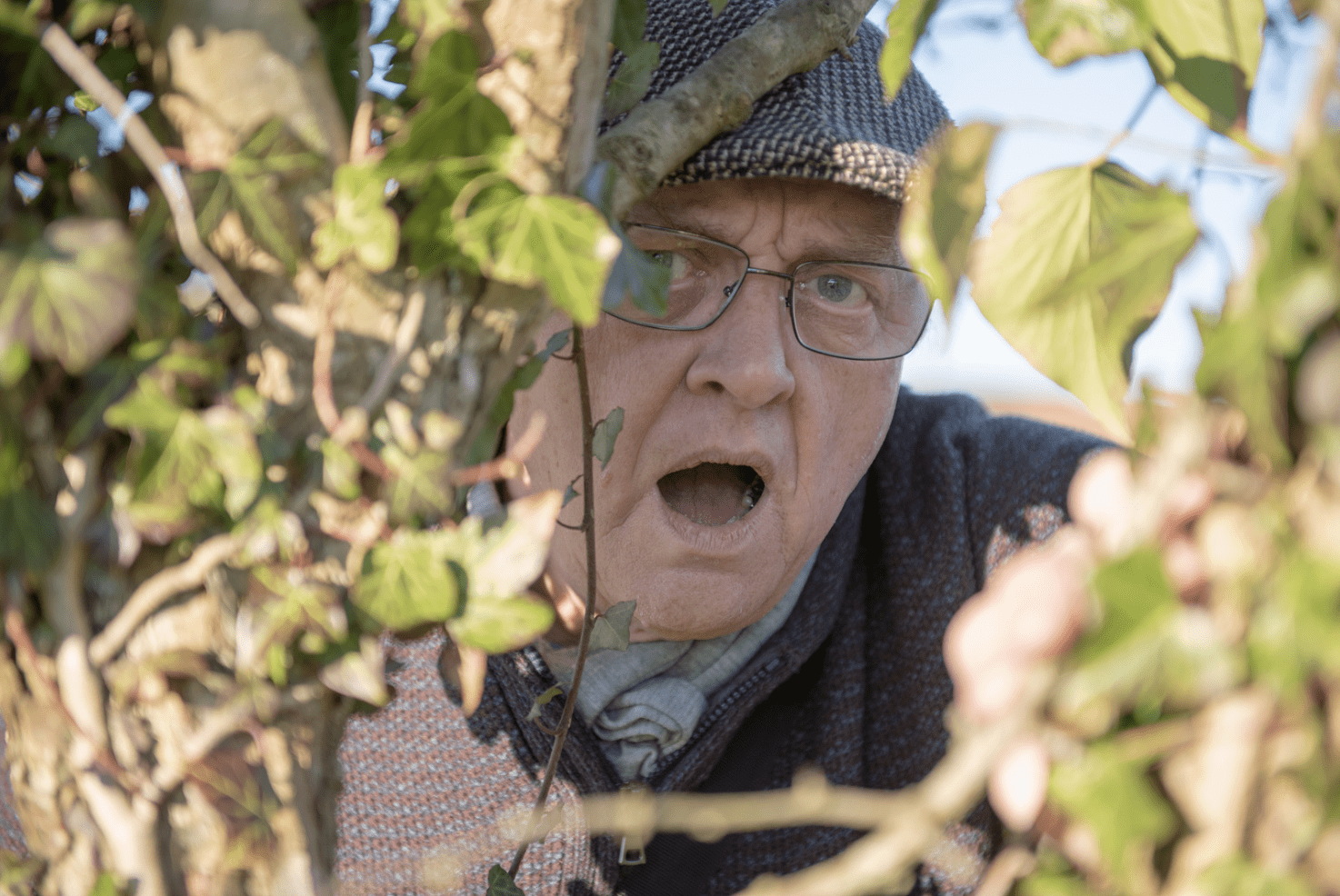 Why Your Neighbours Are Upgrading Their Fences And You Should Too